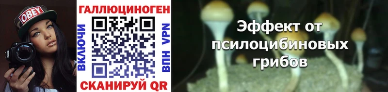 Купить  Яблоновский  Галлюциногенные грибы GOLDEN TEACHER 